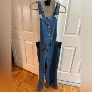 Isabel Maternity by Ingrid & Isabel Blue Denim Overalls